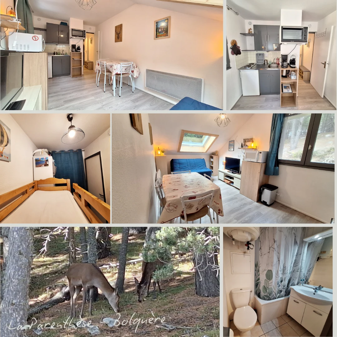 Appartement situé à 100 mètres à pied des pistes de ski à Font-Romeu Pyrénées 2000